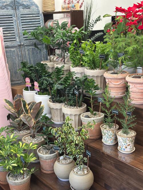 꽃다발+꽃다발패키지 (80,000원 상당)