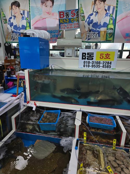 활어회 2인분(1kg) (70,000원 상당) 썸네일